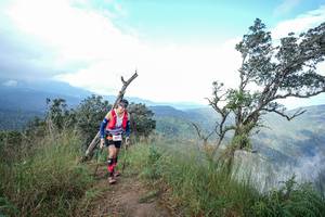 BIB: 
                            <button type="button" onclick="openModal(22372290)" class="btn btn-primary btn-sm float-right btn-popup" data-toggle="modal" data-target=".modal-high-quality">
                        <i class="fas fa-shopping-cart"></i> Add to Cart
                    </button>
                                            <button type="button" onclick="isThisMe(22372290, true)" class="btn btn-success btn-sm float-right btn-popup btn-isme hidden" data-toggle="tooltip" data-placement="bottom" title="นี่คือรูปของคุณใช่ไหม คลิกที่นี่เพื่อเอาเข้าอัลบั้ม">
                        <i class="fas fa-plus"></i> Add to album
                    </button>
                    <button type="button" onclick="isThisMe(22372290, false)" class="btn btn-warning btn-sm float-right btn-popup btn-isnotme hidden">
                        <i class="fas fa-ban"></i> Remove from album
                    </button>